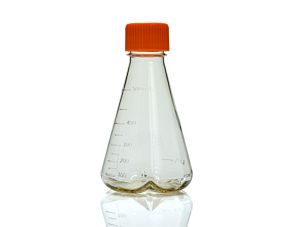 Corning® Disposable Erlenmeyer Flask