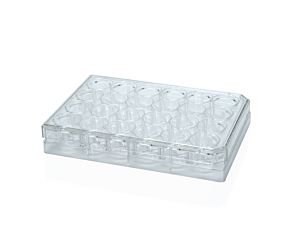 Falcon® 24-Well Flat-Bottom Plate, Tissue Culture-Treated