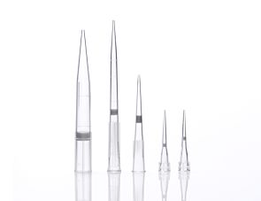 Filtered Pipette Tips, 1000 µL