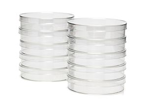 100 mm Dish, TC-Treated