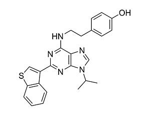 StemRegenin 1