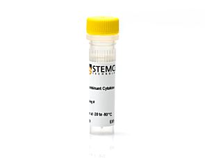 Mouse Recombinant GM-CSF (E. coli-expressed)