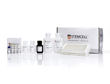 Human pan IFN-alpha ELISA Kit|02000