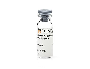 CellAdhere™ Tropoelastin