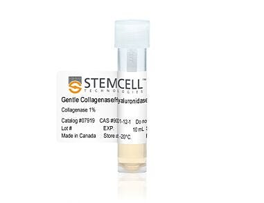 Gentle Collagenase/Hyaluronidase