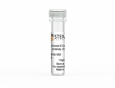 Anti-Human E-Cadherin (CD324) Antibody, Clone 7G5D4