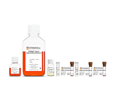STEMdiff™ Spinal Organoid Differentiation Kit Product Image