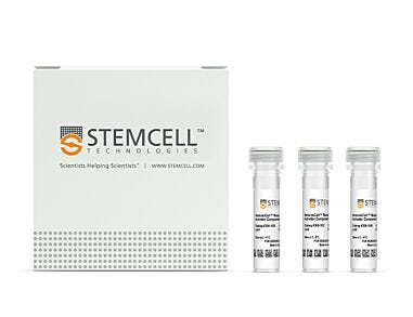 ImmunoCult™ Mouse T Cell Activator Kit