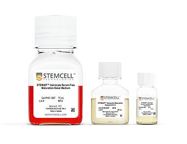 STEMdiff™ Astrocyte Serum-Free Maturation Kit