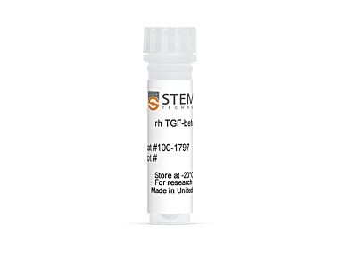 Human Recombinant TGF-beta 1, ACF