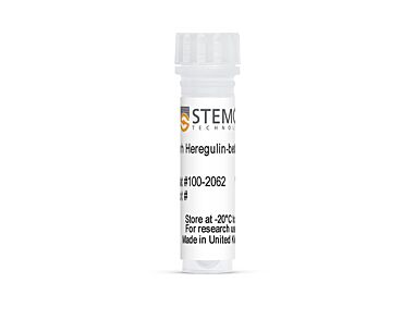 Human Recombinant Heregulin-beta 1, ACF