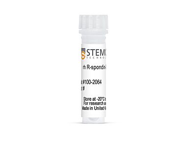 Human Recombinant R-spondin-3, ACF