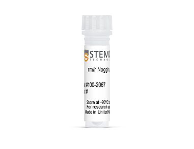 Mouse/Rat Recombinant Noggin, ACF