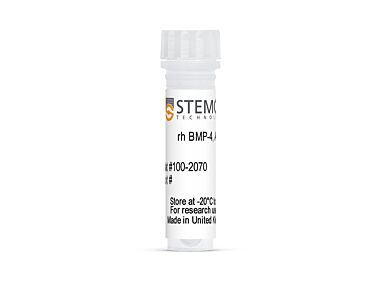 Human Recombinant BMP-4, ACF