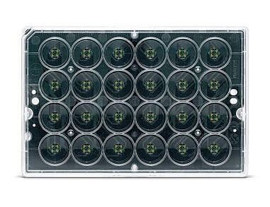 BioCircuit MEA™ 24-Well Plate (Lid On)