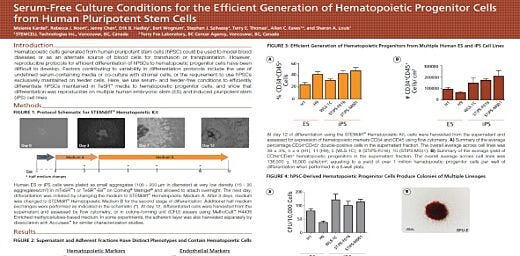 Efficient Differentiation of Human Pluripotent Stem Cells to Hematopoietic Progenitor Cells in Serum-Free Culture Conditions