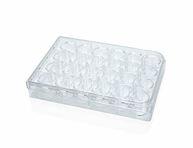 Costar® 24-Well Flat-Bottom Plate, Tissue Culture-Treated