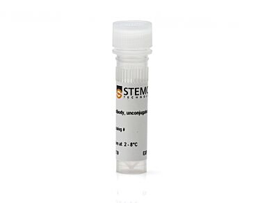 Anti-Human CD5 Antibody, Clone UCHT2