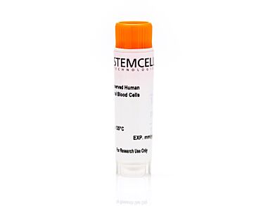 Human Peripheral Blood Mononuclear Cells, Frozen