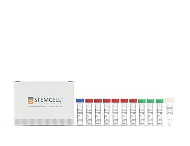 ArciTect™ High-Fidelity DNA Polymerase Kit