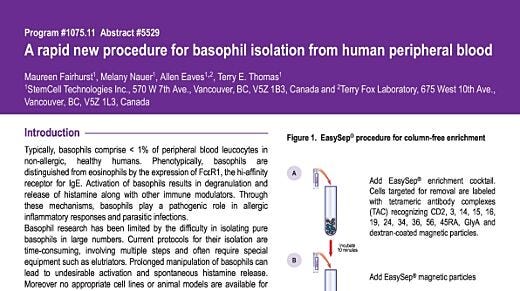 Basophil Isolation from Human Peripheral Blood