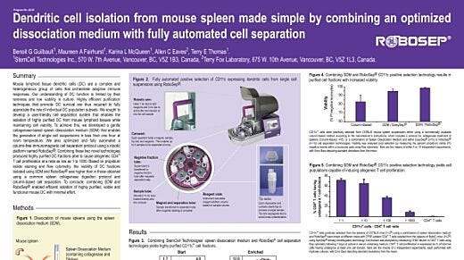 Dendritic Cell Isolation from Mouse Spleen Made Simple
