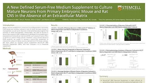 A New Defined Serum-Free Medium Supplement to Culture Mature Neurons from Primary Embryonic Mouse and Rat CNS