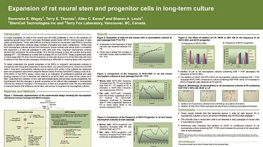 Expansion of Rat Neural Stem and Progenitor Cells in Long-Term Culture