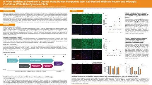 In Vitro Modeling of Parkinson’s Disease Using Human Pluripotent Stem Cell-Derived Midbrain Neuron and Microglia Co-Culture with Alpha-Synuclein Fibrils