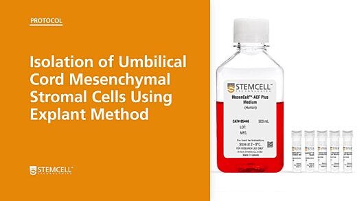 Isolation of Umbilical Cord Mesenchymal Stromal Cells Using Explant Method