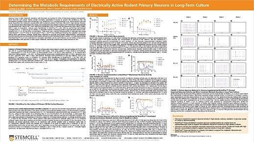 Determining the Metabolic Requirements of Electrically Active Rodent Primary Neurons in Long-Term Culture