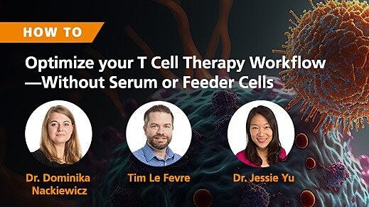 How to Optimize Your T Cell Therapy Workflow—Without the Use of Serum or Feeder Cells