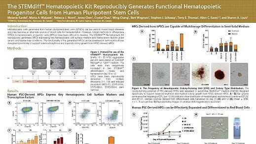 The STEMdiff Hematopoietic Kit Reproducibly Generates Functional Hematopoietic Progenitor Cells from Human Pluripotent Stem Cells