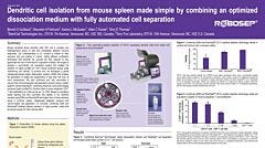 Dendritic Cell Isolation from Mouse Spleen Made Simple