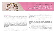 Tumorsphere Culture of Human Breast Cancer Cell Lines
