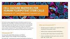 Cell Culture Matrices for Human Pluripotent Stem Cells