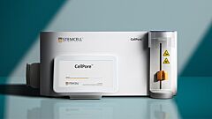 Gene Editing Human Peripheral Blood Natural Killer Cells using the CellPore™ Transfection System