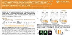 CRISPR-Cas9 Gene Editing Of CDK5RAP2 In Human Pluripotent Stem Cells