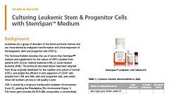 Culture and Expansion of Chronic Myeloid Leukemia Cells