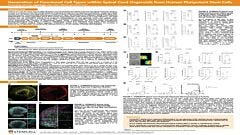 Generation of Functional 3D Spinal Cord Organoids from Human Pluripotent Stem Cells