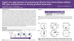 Rapid, one-step isolation of granulocytes directly from whole blood without RBC lysis, sedimentation or density spearation