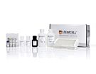 Human IL-2 ELISA Kit|02006
