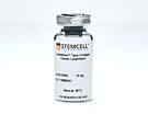 CellAdhere™ Type I Collagen
