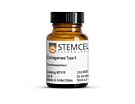 Collagenase Type II|07418