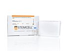 Human Pluripotent Stem Cell Trilineage Differentiation qPCR Array