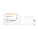 Human Mesenchymal Stem Cell qPCR Array