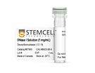 DNase I Solution (1 mg/mL)