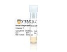 Gentle Collagenase/Hyaluronidase