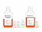 STEMdiff™ 心房肌细胞分化试剂盒