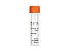 Anti-Human Villin 1 Antibody, Polyclonal